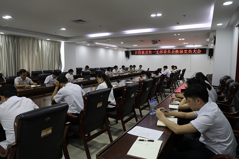 百投集團推行基層黨組織標準化建設 【百投集團黨建工作系列報道之六】